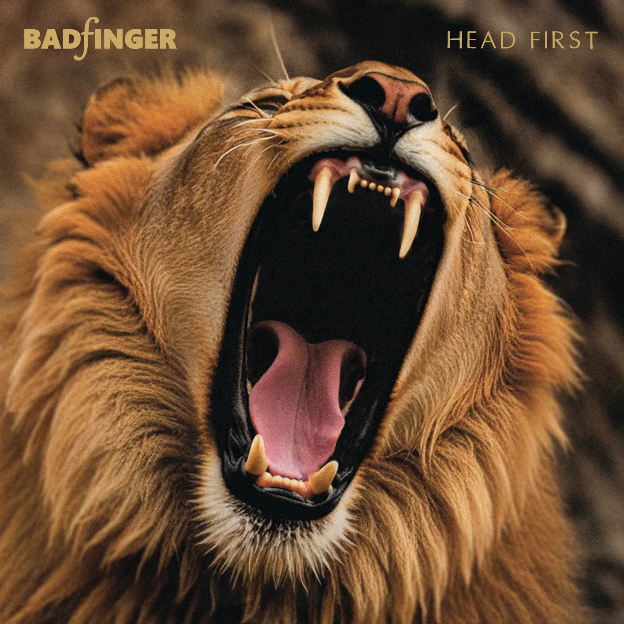 BadFinger